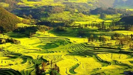 老公/男票要去这里拈花惹草,你居然不阻止还说好?!