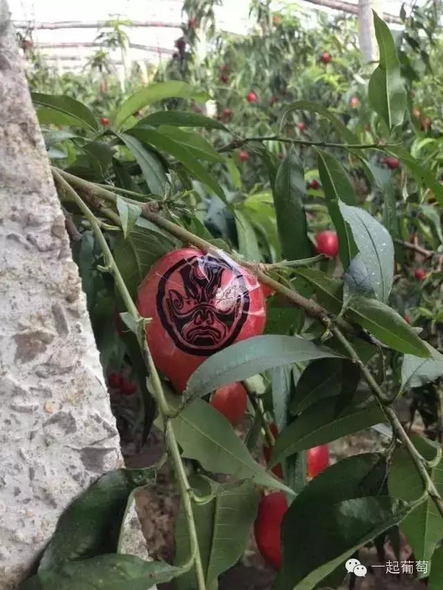 当扶贫遇上互联网,当统战工作遇上互联网