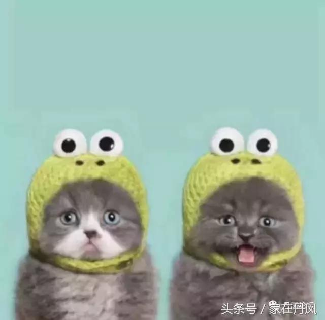 周龙天|读艾妃的《我为弟弟哭六次》