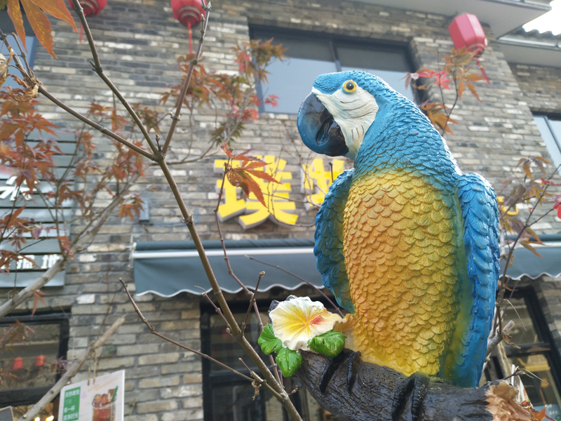 它有的不仅仅是双摄！vivoX9两周使用体验谈