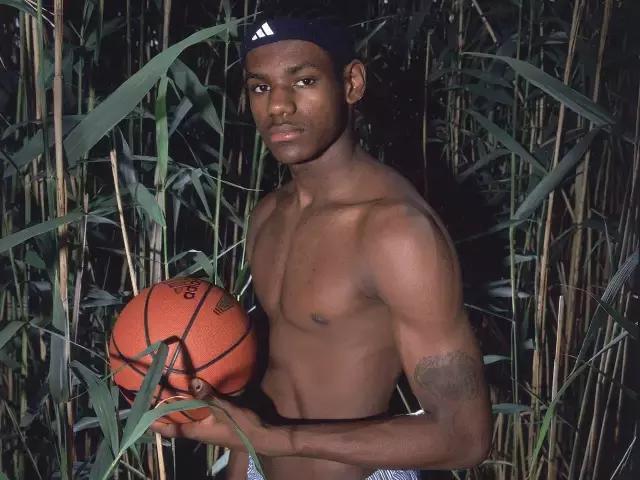 勒布朗詹姆斯王冠,勒布朗詹姆斯之王