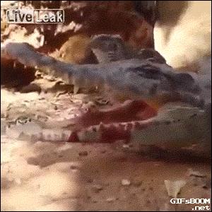 一个人在家觉得太孤单,女子一个人在家太孤单