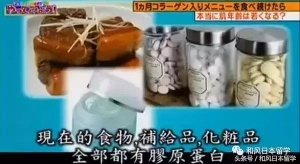 日本明星都在吃的胶原蛋白,日本真人秀吃胶原蛋白