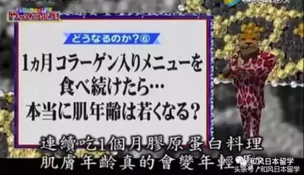 日本明星都在吃的胶原蛋白,日本真人秀吃胶原蛋白