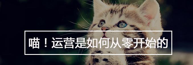 应用商店上架app需要什么资料,app商店上架规则