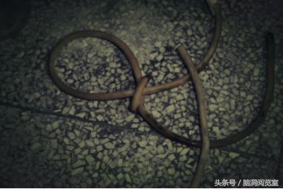 七大网红探索废弃恐怖精神病院,四川龙泉废弃精神病院