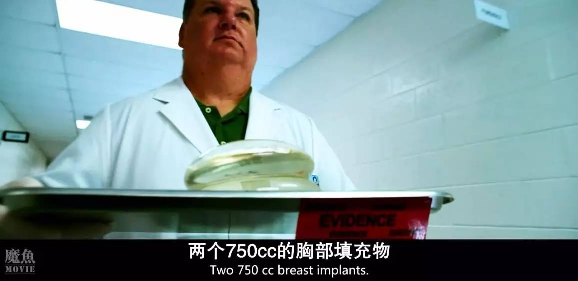 巨石强森演的以暴制暴电影,巨石强森演的灾难片