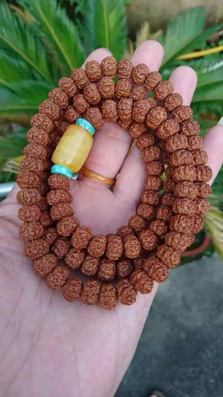 金刚菩提清理不干净怎么办,金刚菩提的果肉清理不净