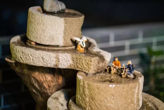 澶氳倝妞嶇墿椁愬惂,妤奸《澶氳倝鑺卞洯椁愬巺