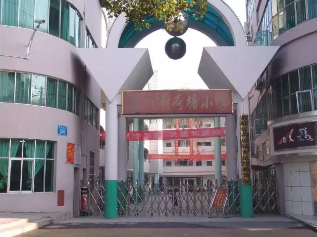 株洲最大的小学有哪几个,株洲最牛的地方