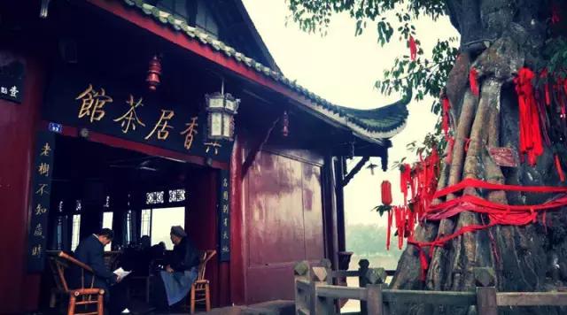 成都周末耍一耍视频,成都周边古镇一日游2022春节