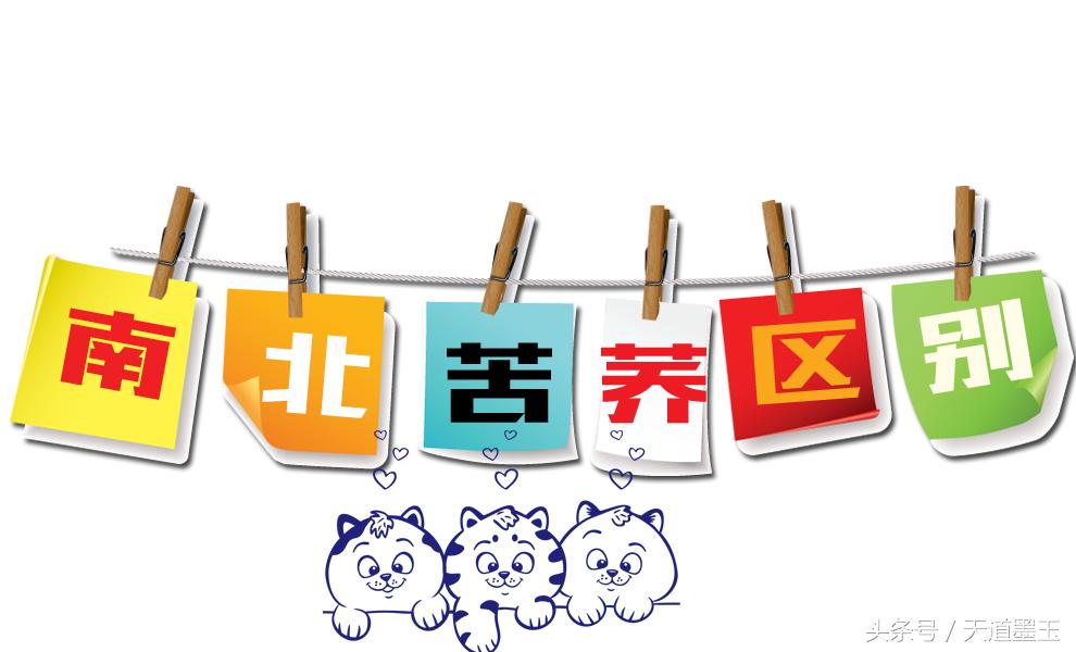 苦荞茶哪里的好,怎样选择正宗的苦荞茶