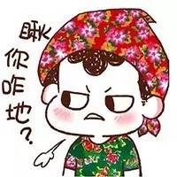 东北话的魅力完整版,东北话的魅力到底有多强