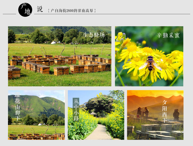 烤橘子烤蒜可以治咳嗽吗,大蒜和蜂蜜蒸水喝能止咳润肺吗