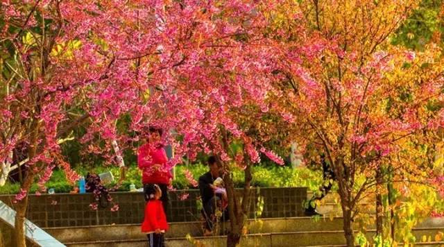 8月四川自驾游3日游最佳路线推荐,四川遂宁到贵州自驾游最佳路线