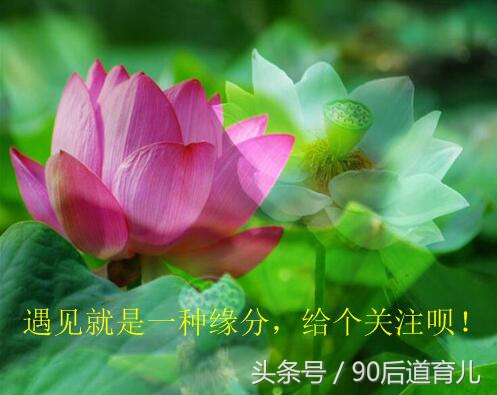 宝宝高原红的脸用什么修复,宝宝一到秋冬季就大红脸