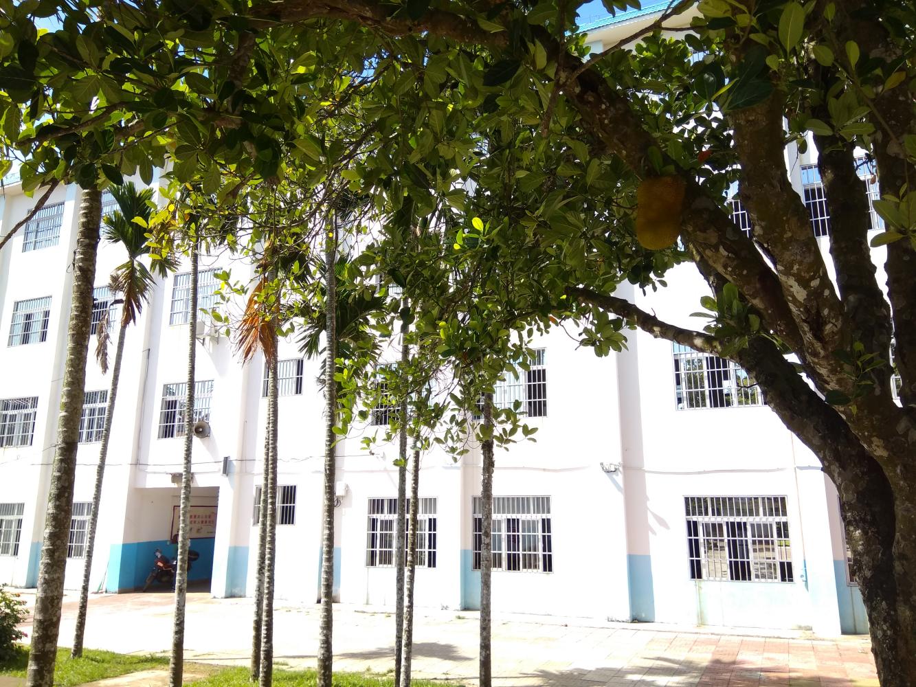 百年书院岳麓书院,百年书院在哪里