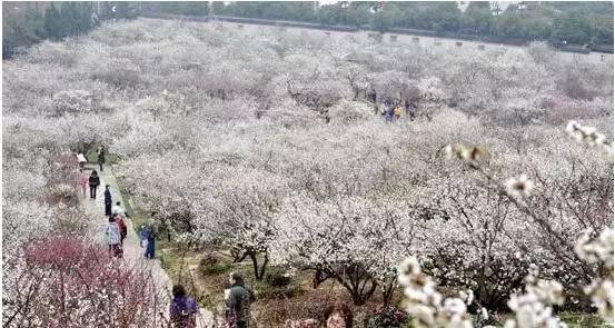 老公/男票要去这里拈花惹草,你居然不阻止还说好?!