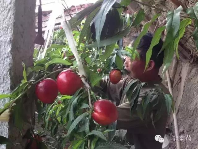 当扶贫遇上互联网,当统战工作遇上互联网