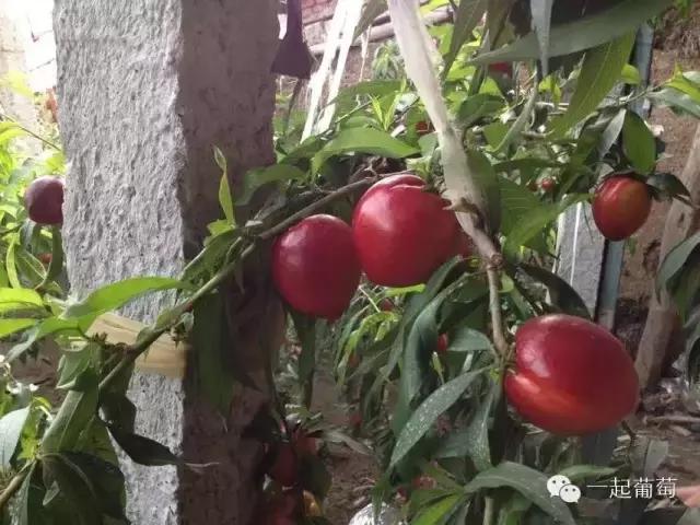 当扶贫遇上互联网,当统战工作遇上互联网