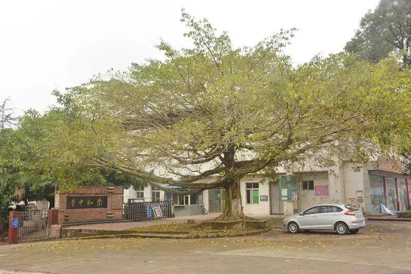 Hello！眉山车辆厂！只有东北人能看懂！