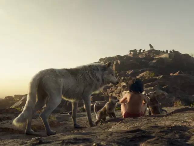 当最地道的重庆话出现在热剧中,每一部都像“生活麻辣烫”!