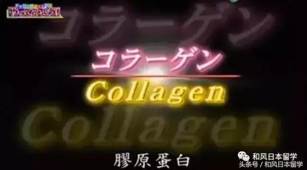 日本明星都在吃的胶原蛋白,日本真人秀吃胶原蛋白