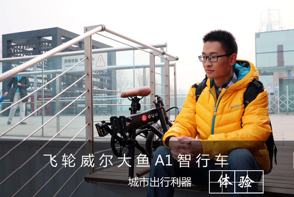 大鱼电动自行车推荐,大鱼智行车飞轮