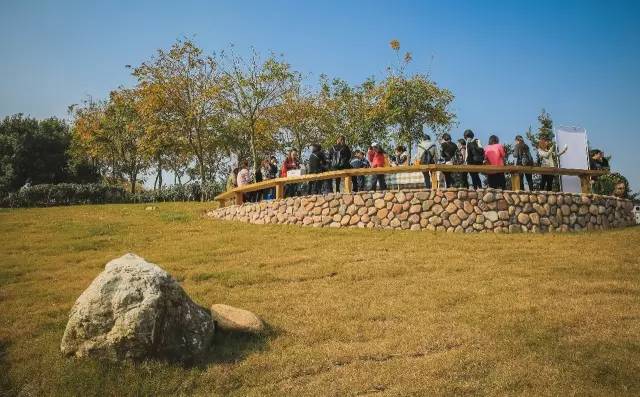 九峰万亩茶园,九峰森林动物园好不好玩