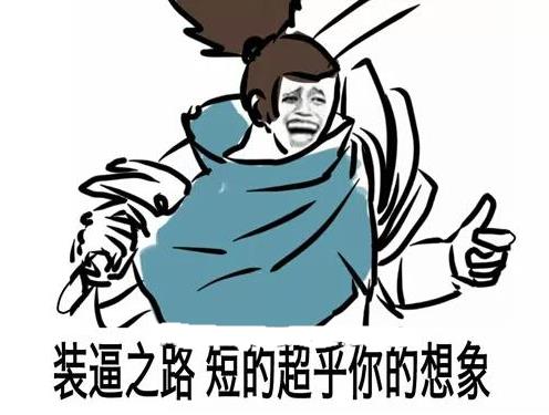 假猪套和真猪套的属性对比,假猪套是什么版本