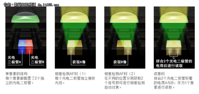 定位专业,佳能eos5dmarkiv