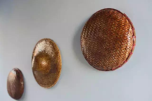 澶氳倝妞嶇墿椁愬惂,妤奸《澶氳倝鑺卞洯椁愬巺