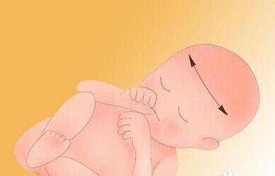 b超单怎么看单双,如何看懂b超单图片