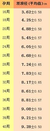 b超单怎么看单双,如何看懂b超单图片