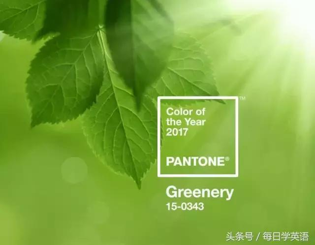 2017年的流行色草木绿,今年流行色薄荷绿