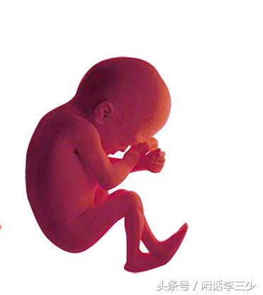 千万不要轻易的去堕胎,什么情况不建议打胎