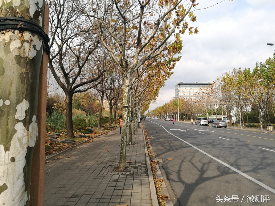 被玩了半年后的华为P9再体验,告诉你是否被忽悠!