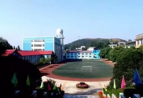 株洲最大的小学有哪几个,株洲最牛的地方