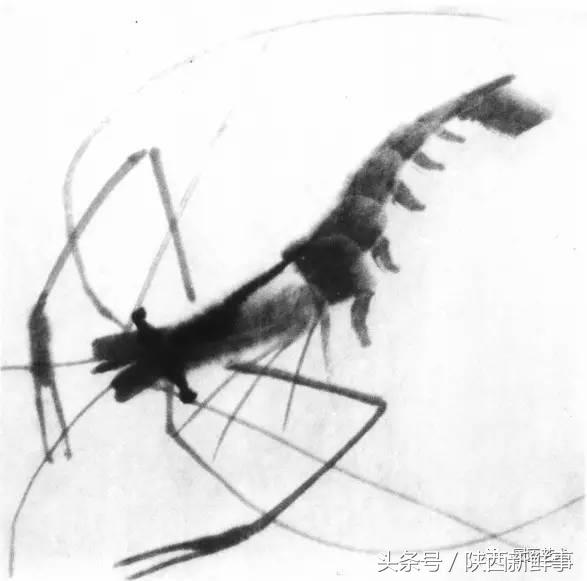 齐白石画虾步骤,齐白石画虾的作品叫什么名字