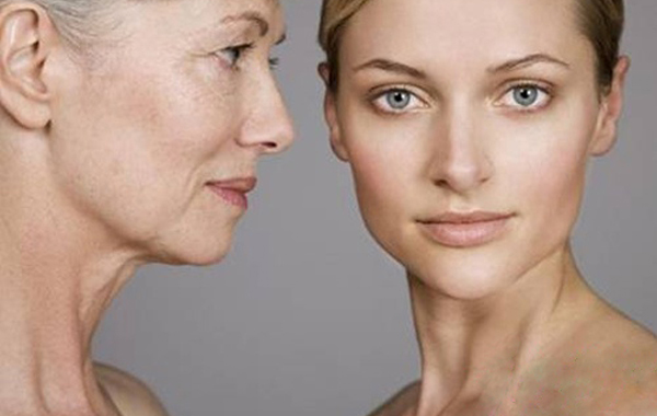 适合女生长期喝的茶祛斑,喝什么的茶祛斑效果最好