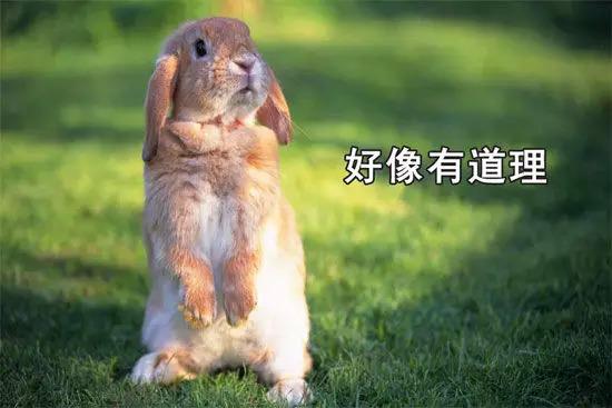 刷三观｜知乎神评·看完整个人都舒服了