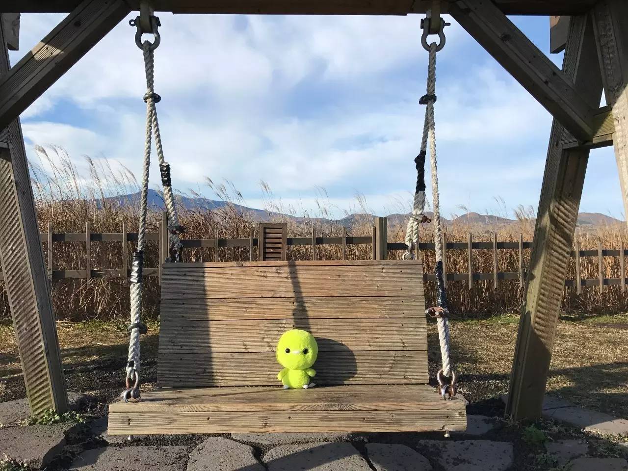 足球比赛日之前应该做哪些准备,世界足球日知识竞赛