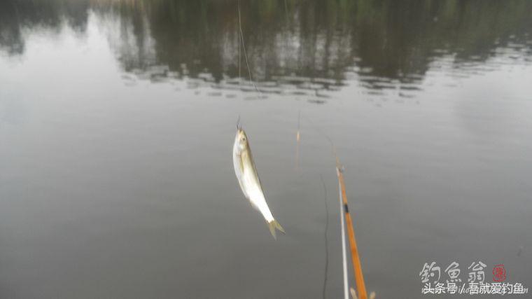 两钓一闲水凑成一个发