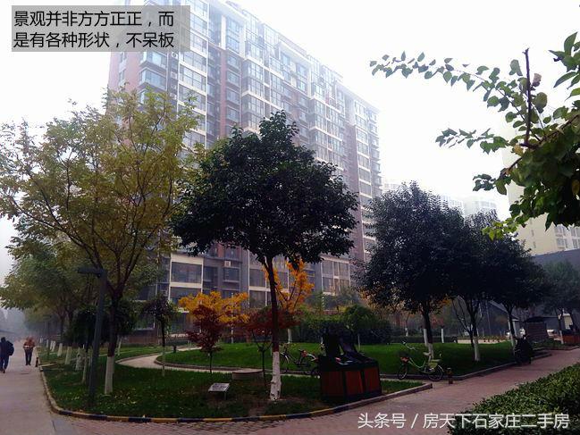 和平时光小区前景如何,和平时光小区