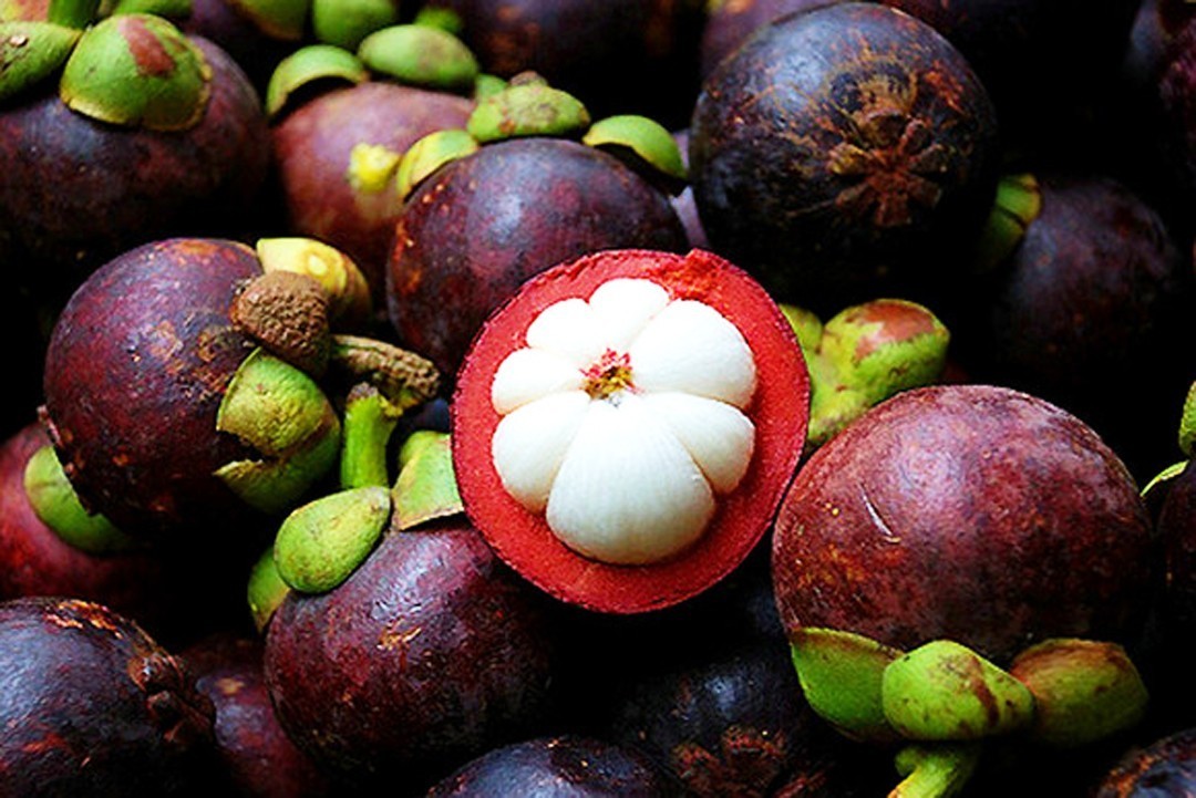 广西进口农产品批发市场,中国进口商品直销平台