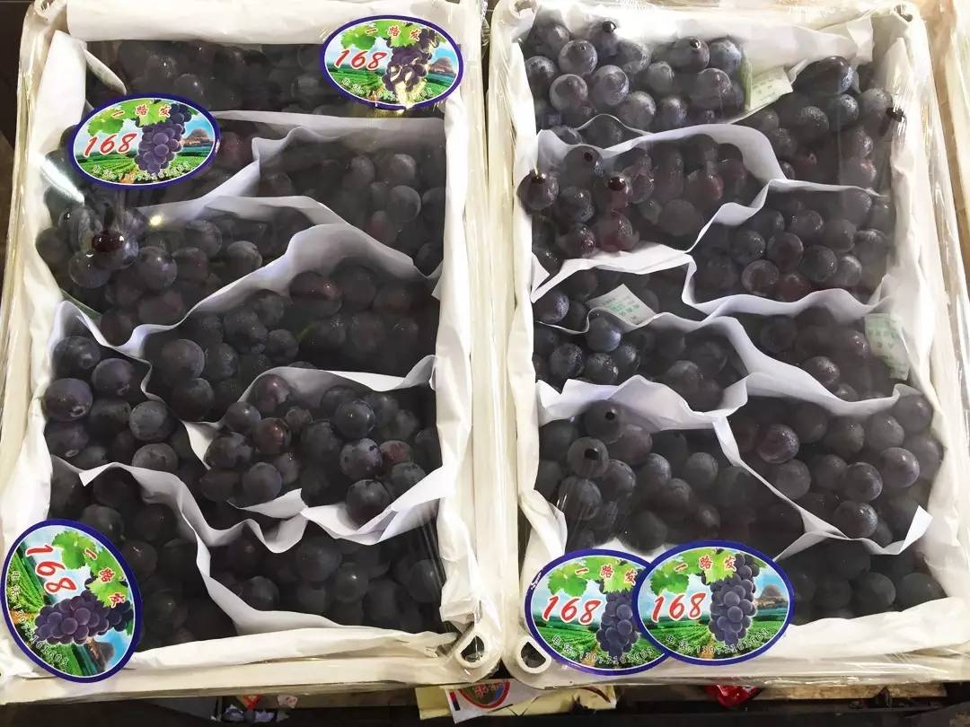 广西进口农产品批发市场,中国进口商品直销平台