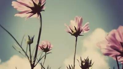 我心素已闲原文,我心素已闲清川澹如此是什么意思