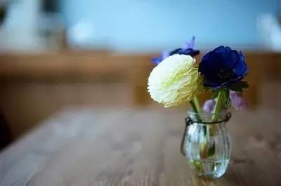 我心素已闲原文,我心素已闲清川澹如此是什么意思