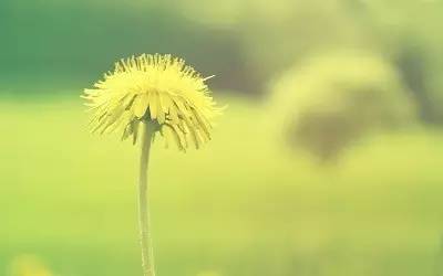 我心素已闲原文,我心素已闲清川澹如此是什么意思