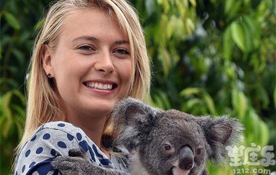 十二星座花痴指数排行,十二星座女自恋狂排名第几